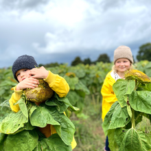 Load image into Gallery viewer, meilleur. mini beanie argan